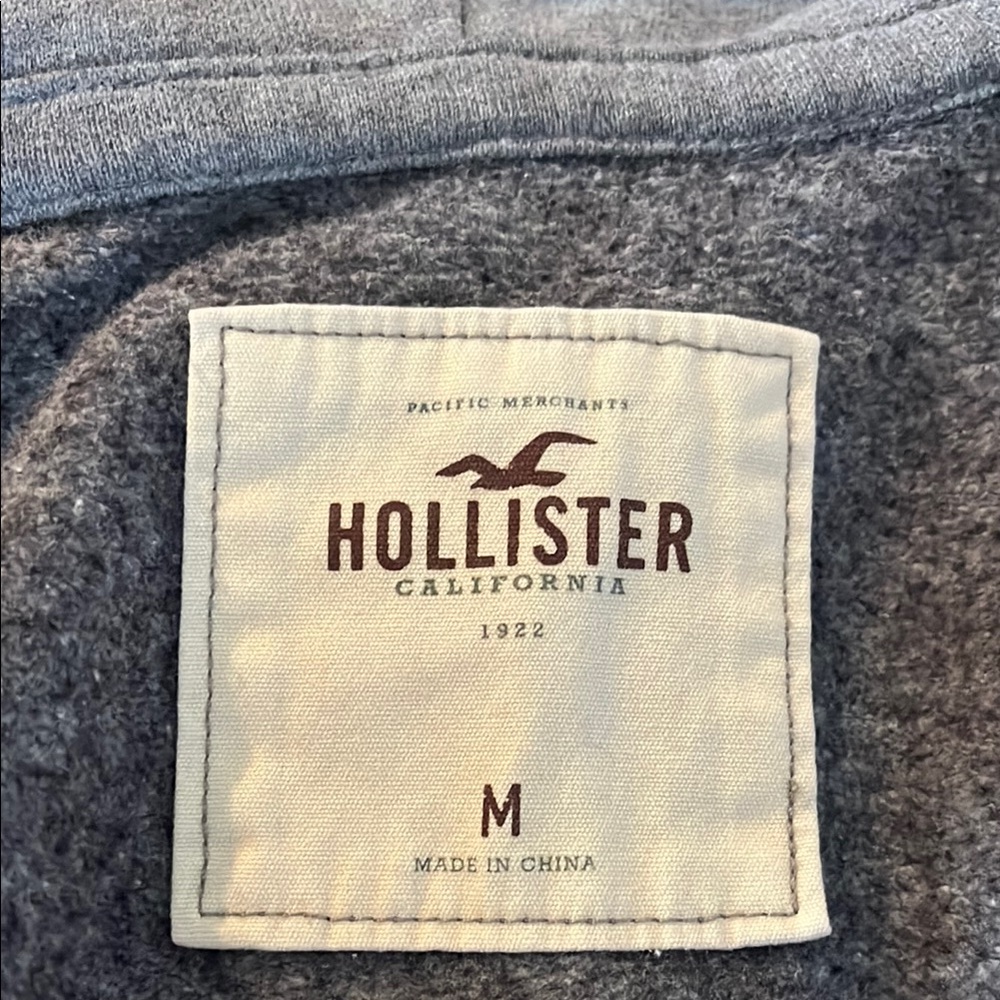Hollister Gray Hoodie - Picture 5 of 5